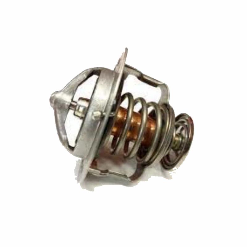 Thermostat Assembly Water - 2550002500