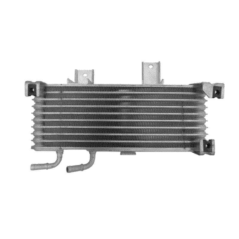 Oil Pump AT & Engine - 216063SF0A