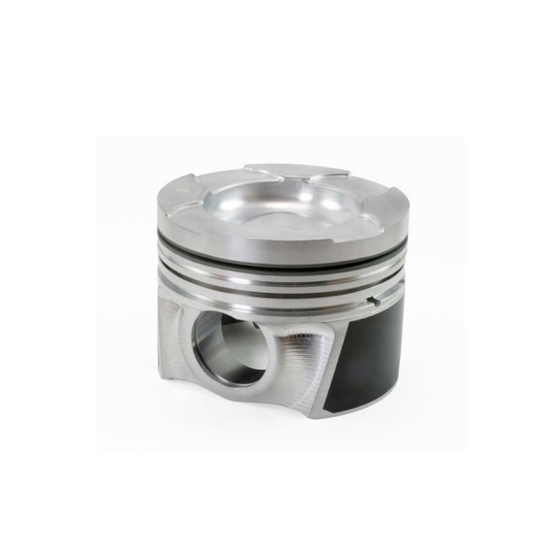 Piston with Pin - 131010C070