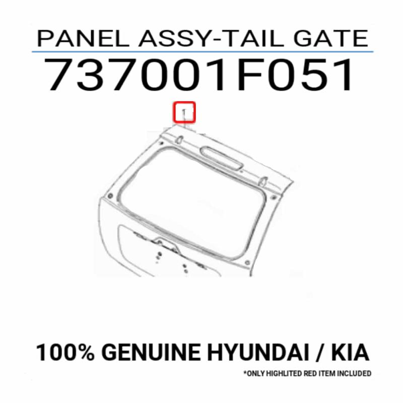 Tail Door Assembly - 737001F051