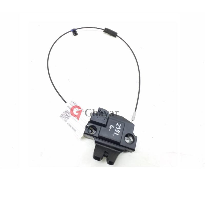 Lock & Remote Control Assembly Back Door - 6460053080