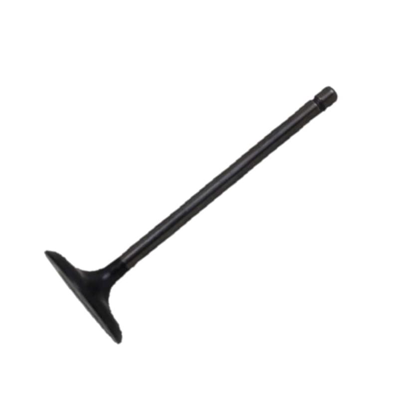 Valve Assembly Exhaust - 137150C040