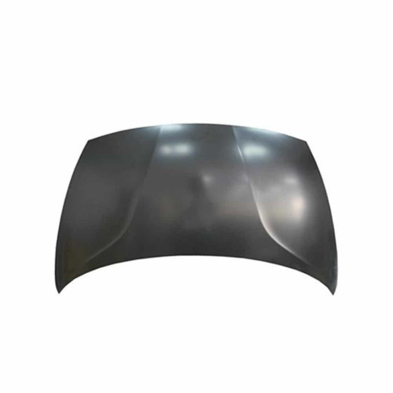 Hood Assembly - 664001W010