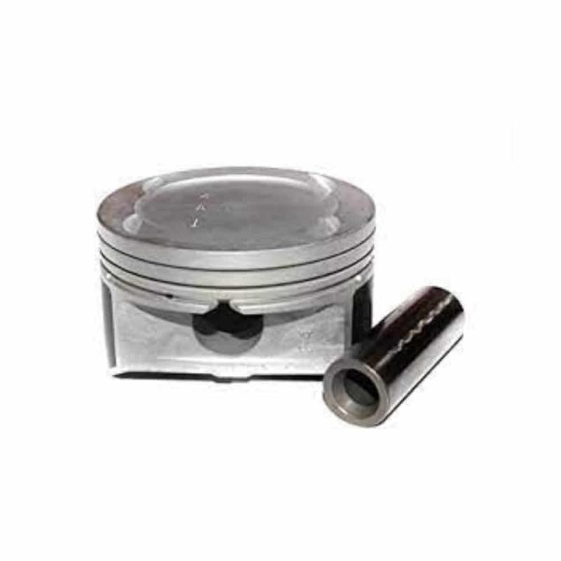 Piston with Pin - 234102G201
