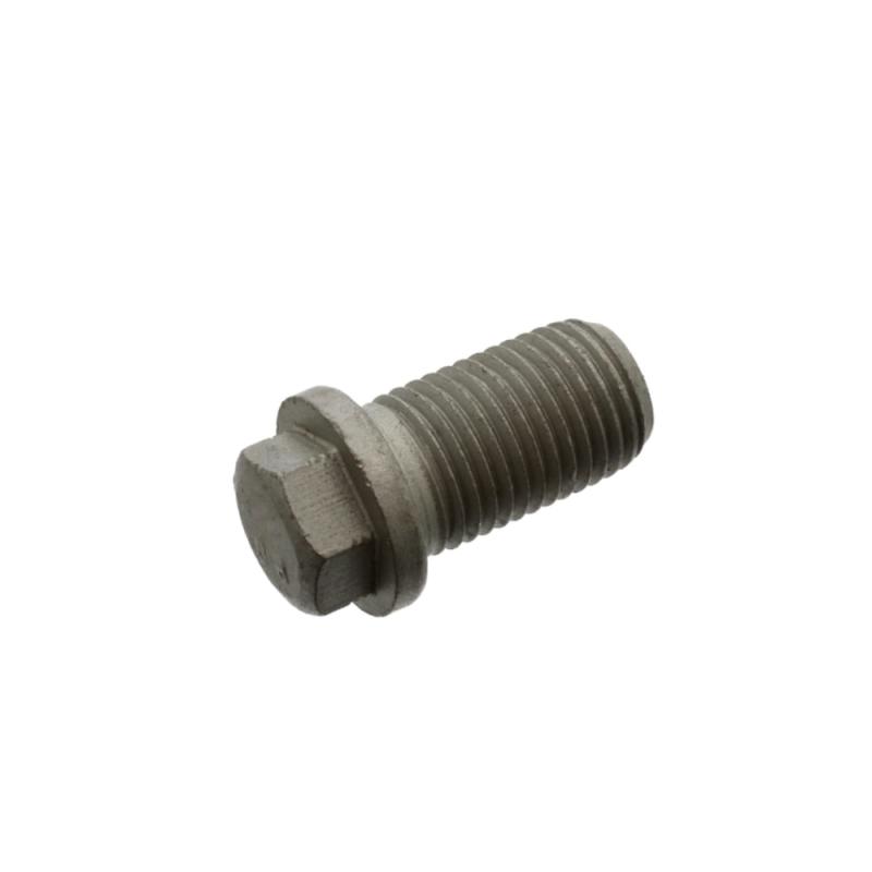 Drain Plug - 1119970330