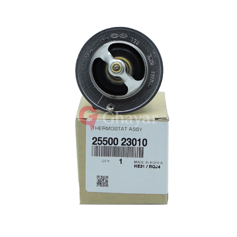 Thermostat Assembly Water - 2550023010