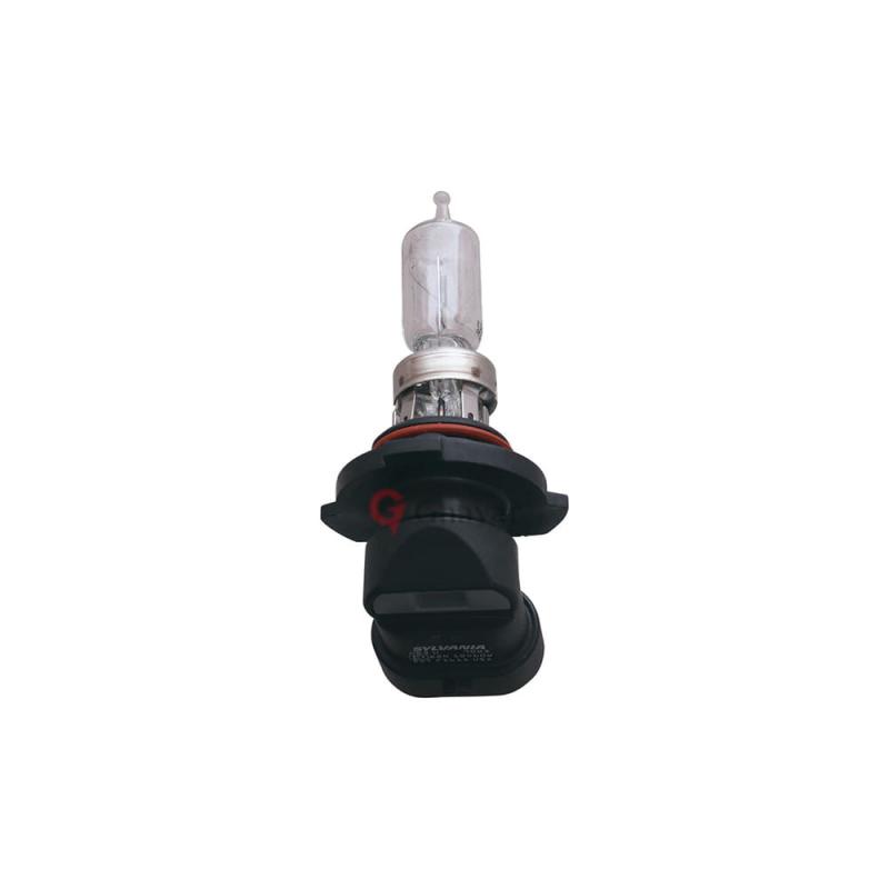 Bulbs - 909818Y001
