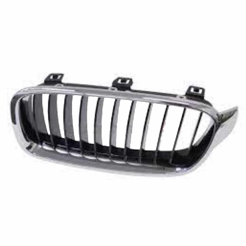 Show Grill Assembly Front - 51137255411