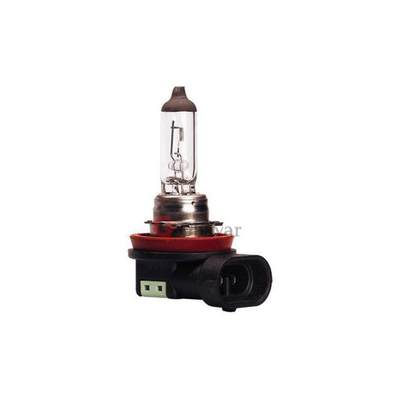 Bulbs - 262968990A