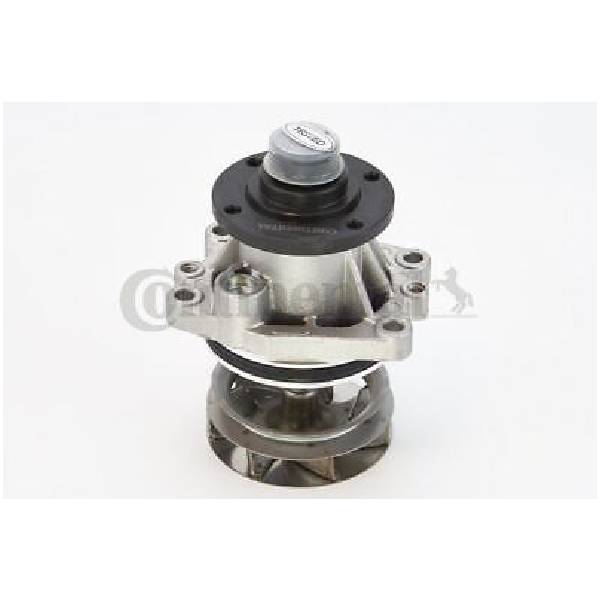 Pump Assembly Water - WPS3000