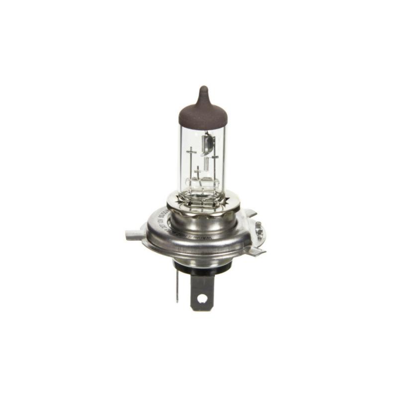Bulbs - 262619B91A