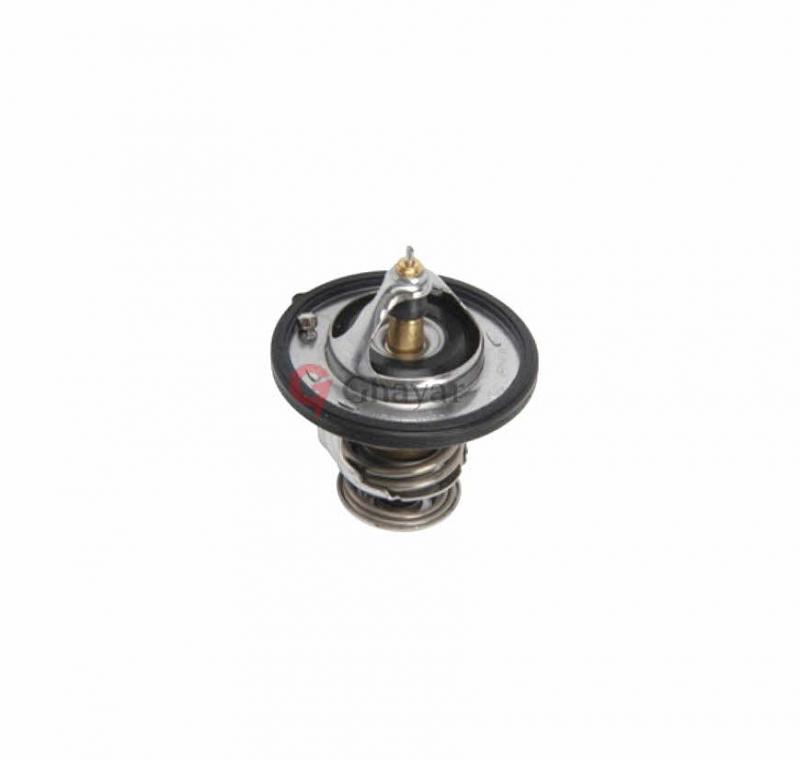 Thermostat Assembly Water - 2550026100