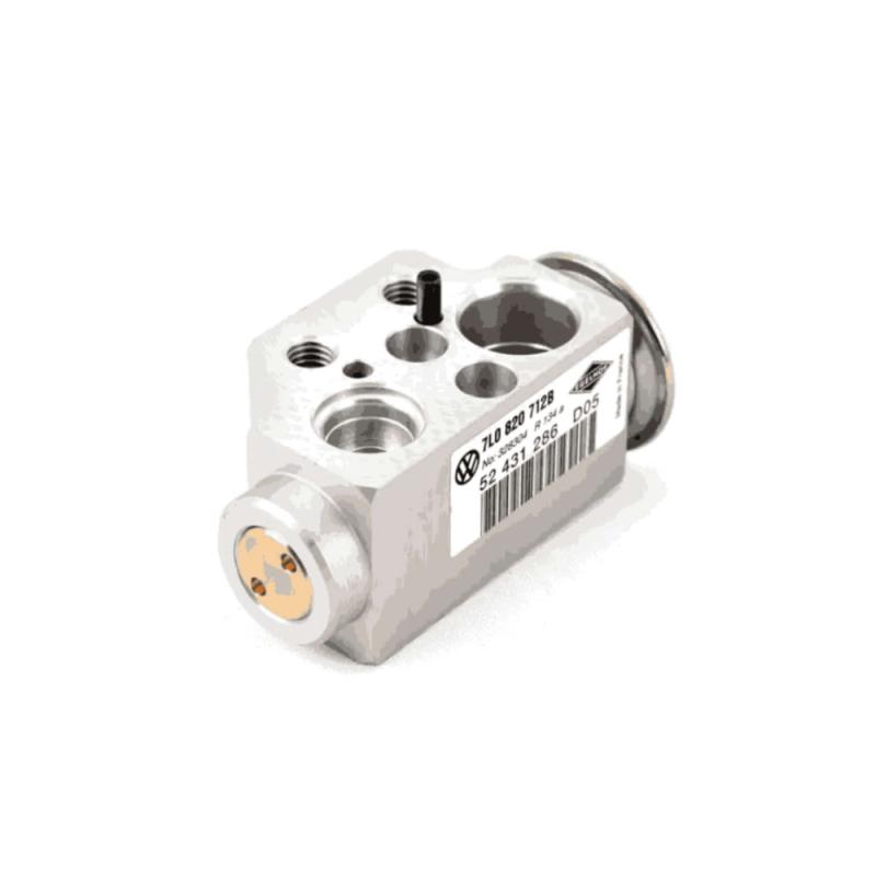 Valve Assembly Expansion Rear - 7L0820712B