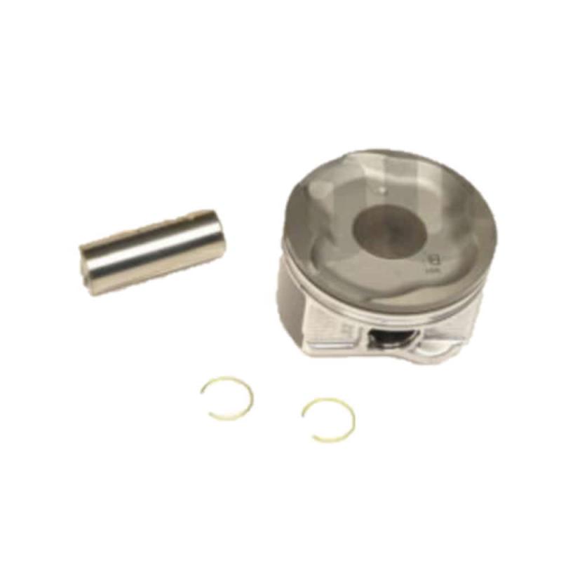 Piston with Pin - 1310175130