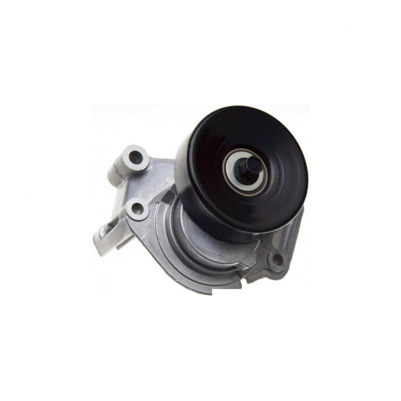 Tensioner Assembly Belt - 166200W036