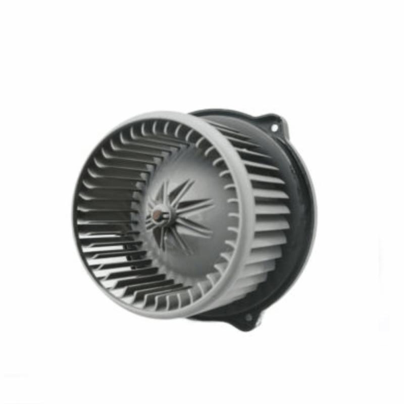 Blower Motor Assembly - 971111W100