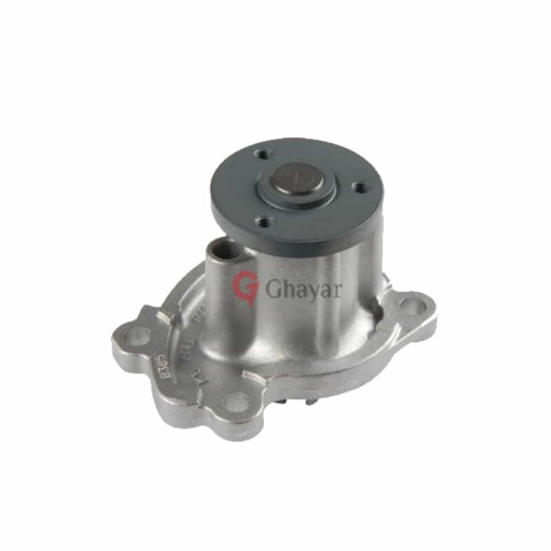 Pump Assembly Water - B10101HC0A