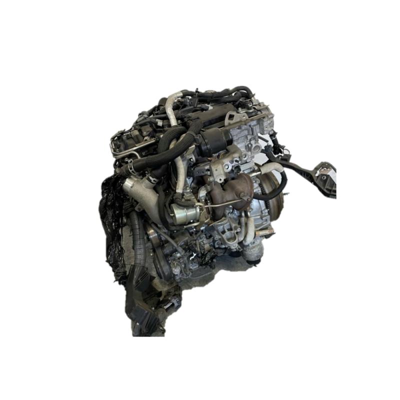 Engine Bare Assembly - 1900036510