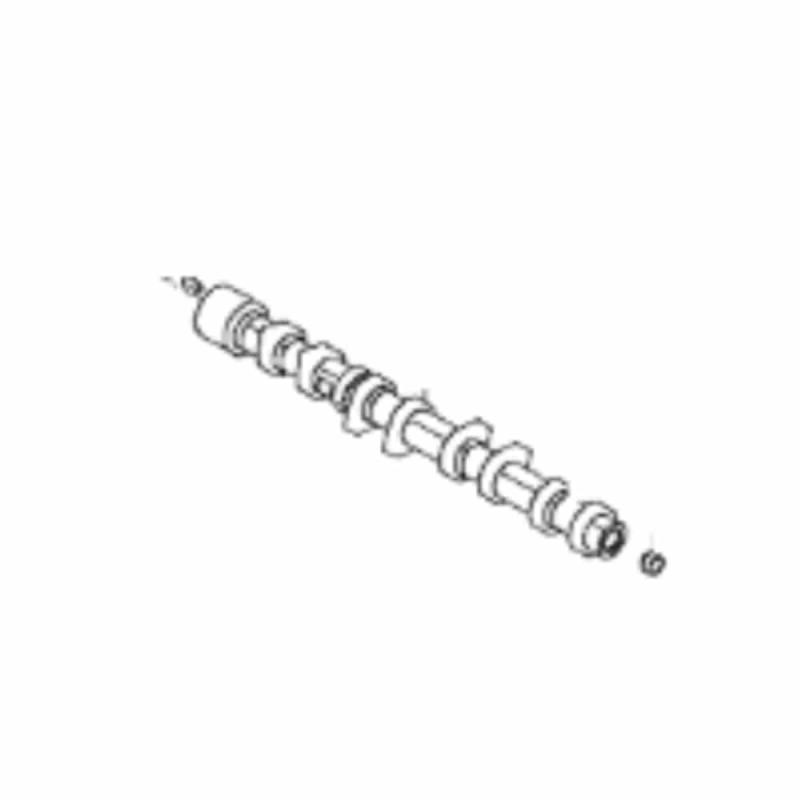 Camshaft Assembly Right - 242002B020