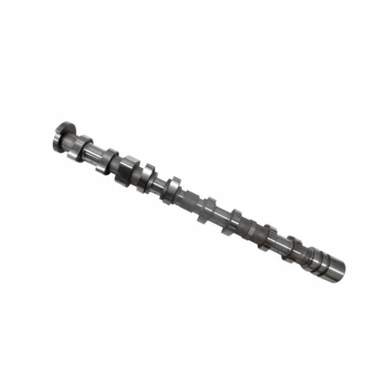 Camshaft Assembly Left - 242002B000